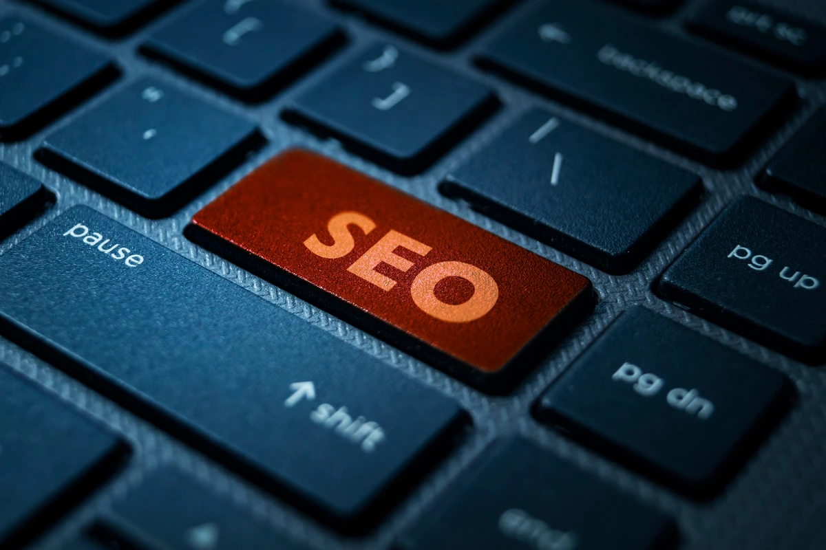 Why SEO is the Backbone of Digital Marketing - Digital Rook